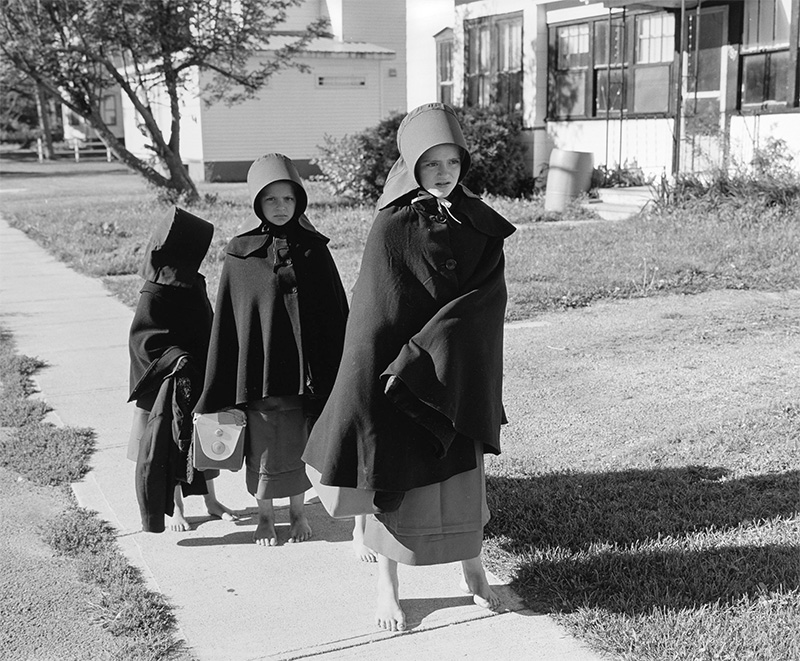 Celebrating Palm Press