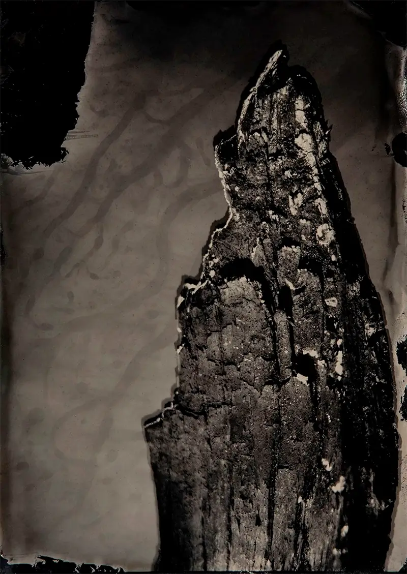 Chris Walker and Paula Shur:  fragments and shadows