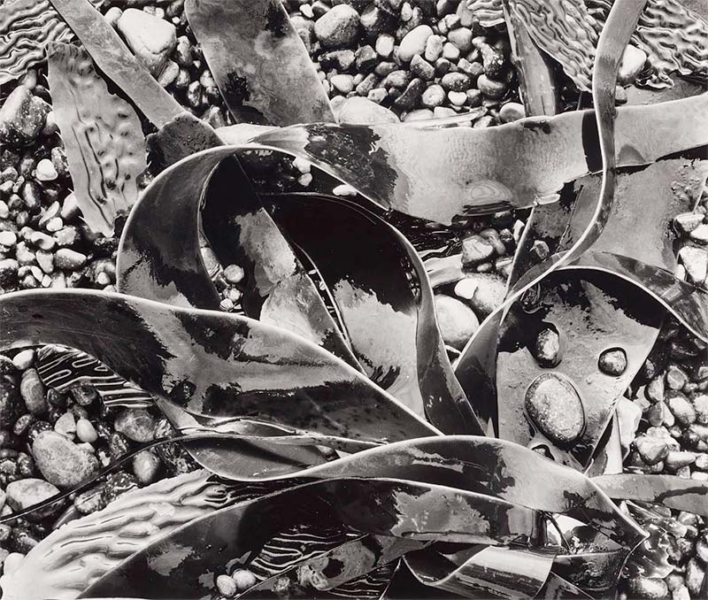 Curious Visions: Toward Abstract Photography