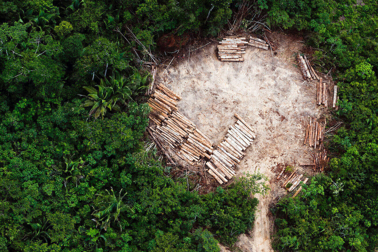 Daniel Beltra: The Amazon
