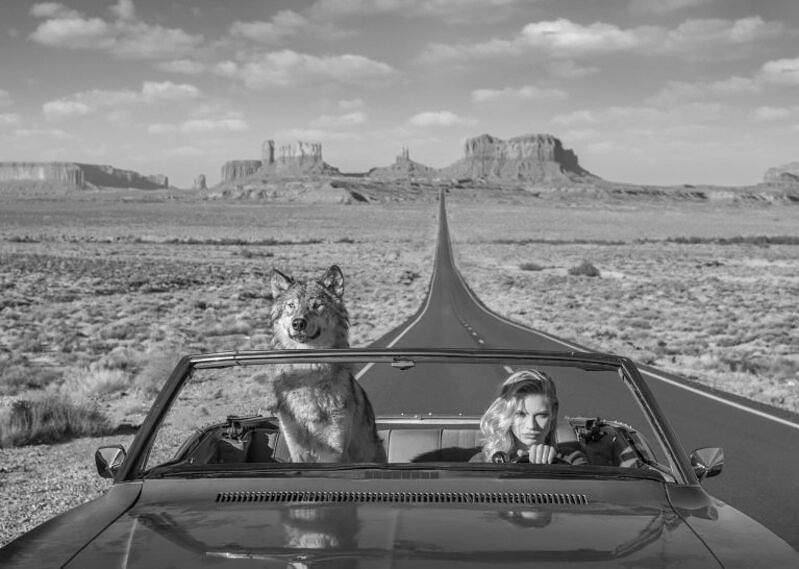 David Yarrow