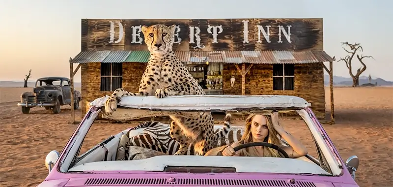 David Yarrow: The Adventure Continues…