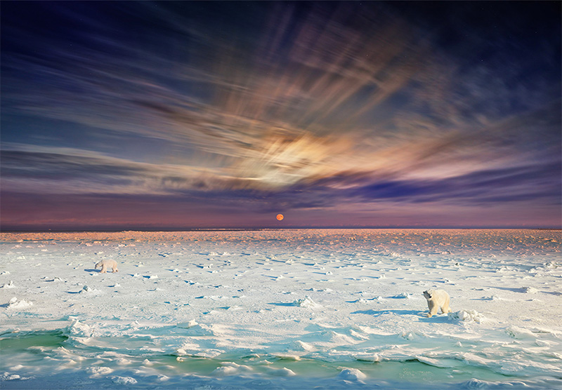 Day to Night: Photographs by Stephen Wilkes