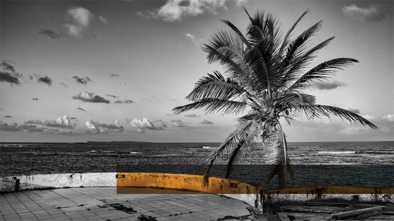 Deborah Jack – Intertidal Imaginaries