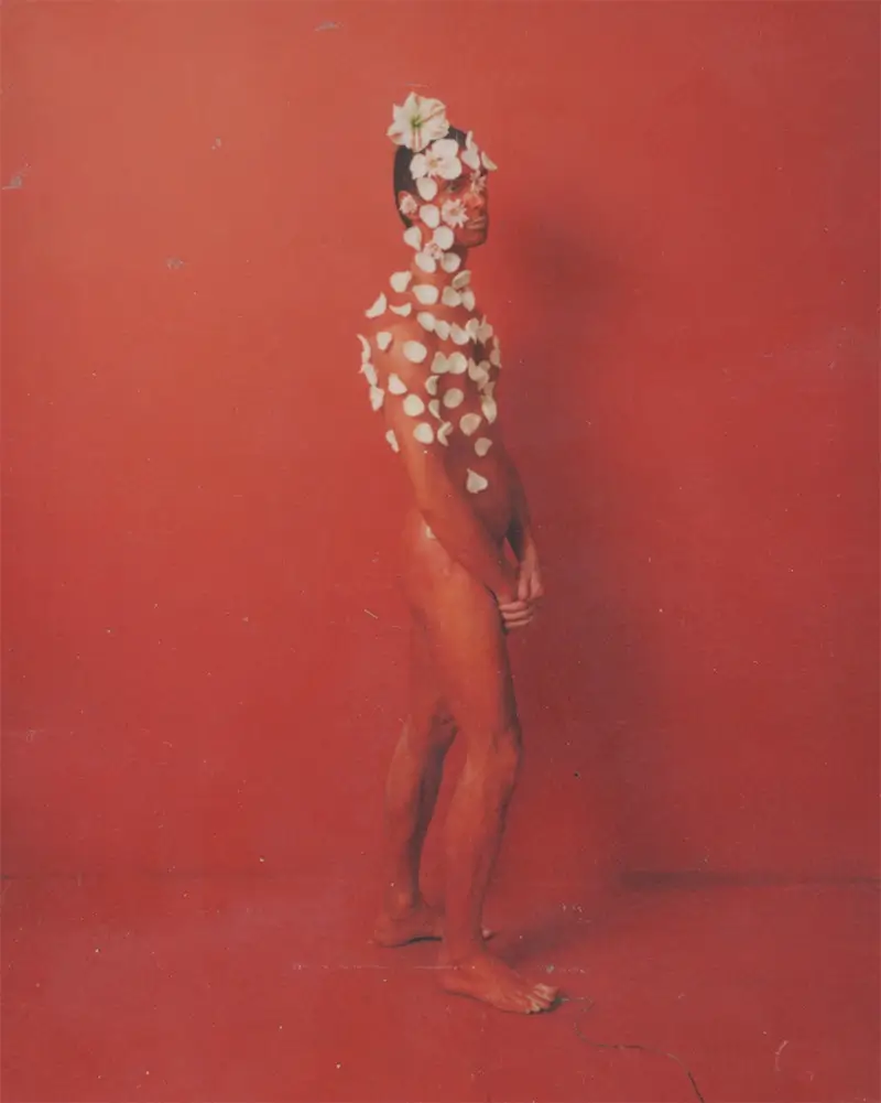 Dietmar Busse: My Life as a Flower