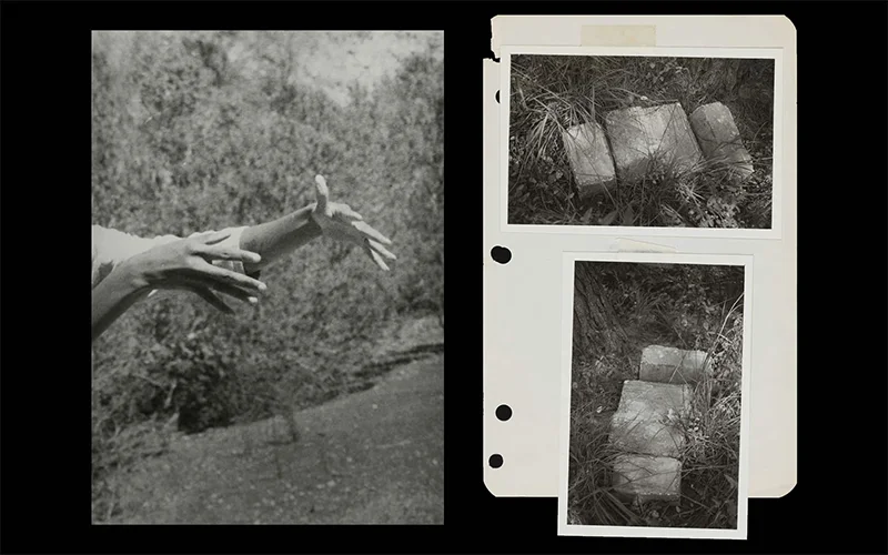 Divination: Beverly Buchanan & Dionne Lee