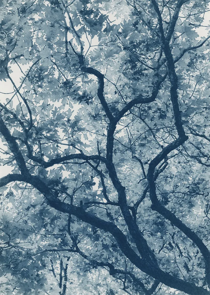 Dora Somosi: Alchemy of Memory