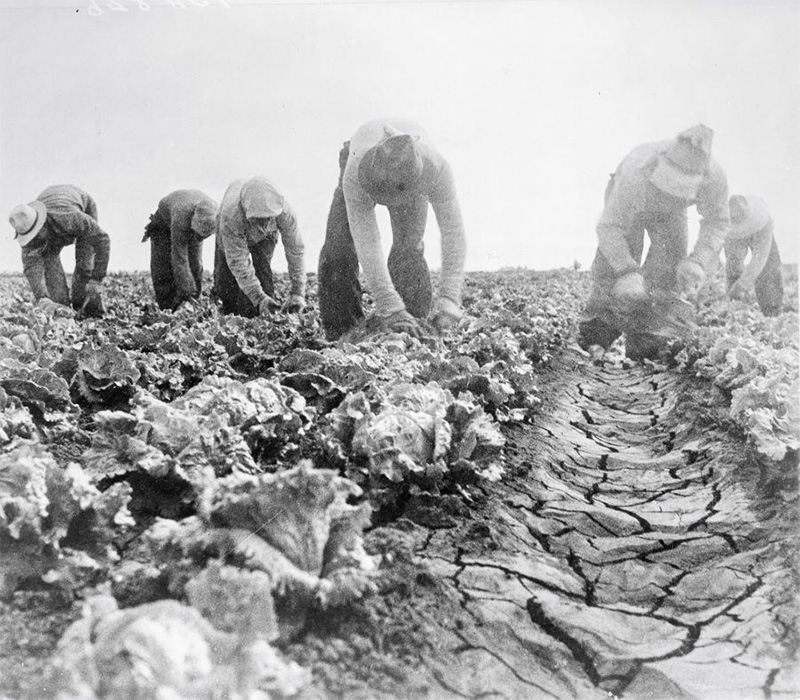 Dorothea Lange: 1935 – 1942