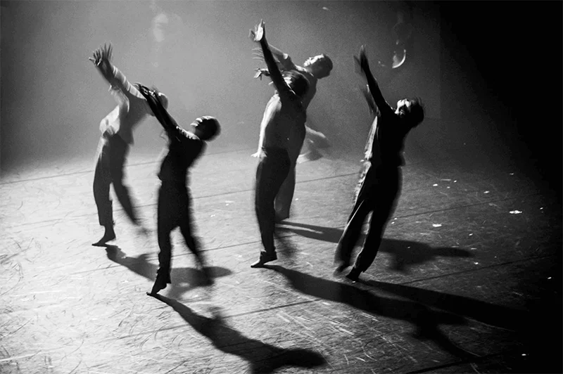 ECHO: Various Photographers