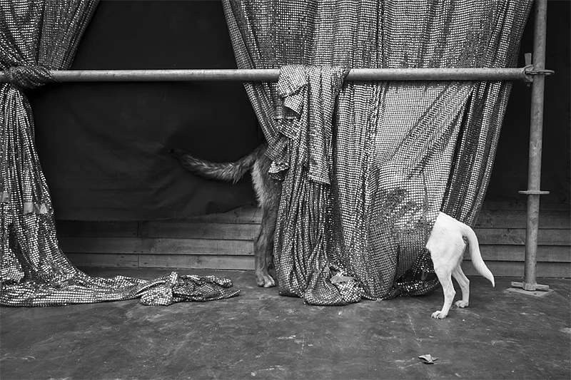 Éléonore Simon: Valparaíso