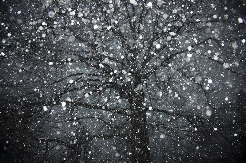 Elijah Gowin: Spirit and shadow