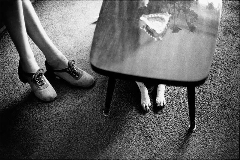 Elliott Erwitt: The Delighted Moment