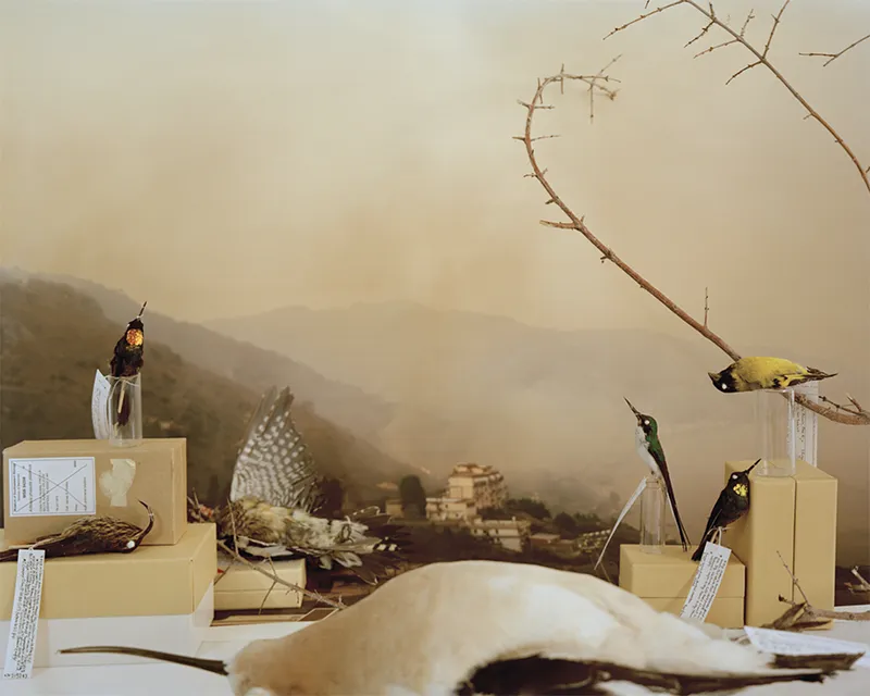 Emma Ressel: Extant Erosions