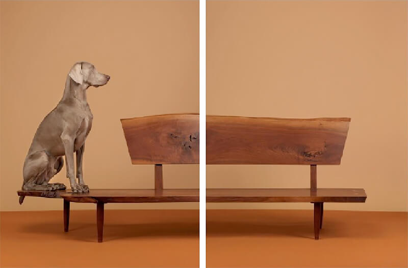 Expanding the Narrative: Recent Acquisitions