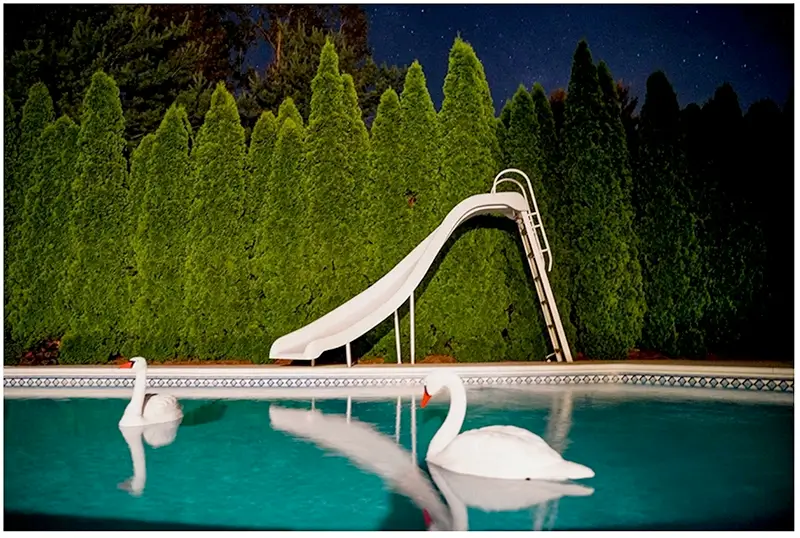Fenced In: Suburban Oasis David Oxton & Gary Beeber