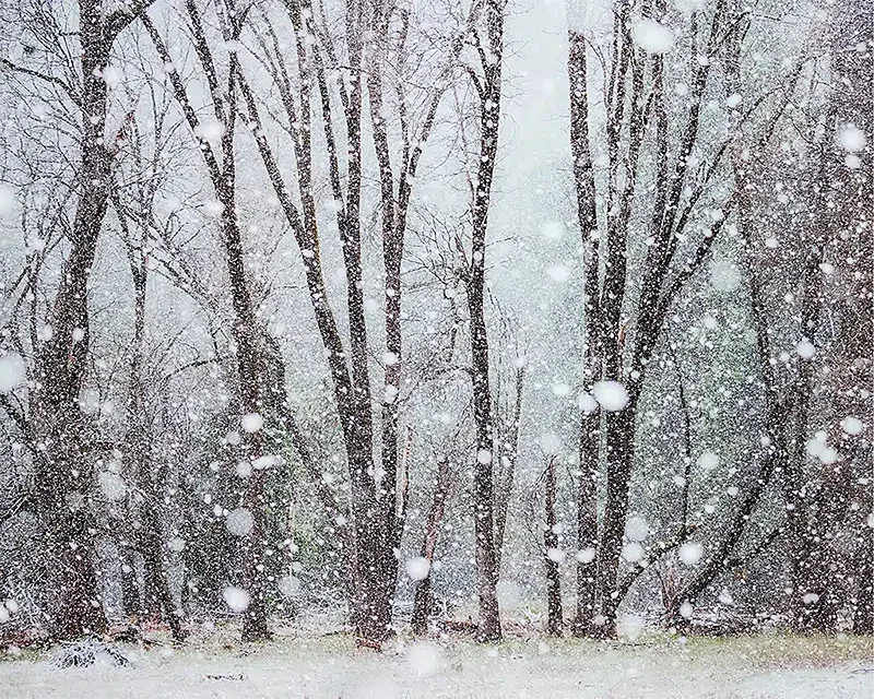 Franka Gabler: Echoes of Nature