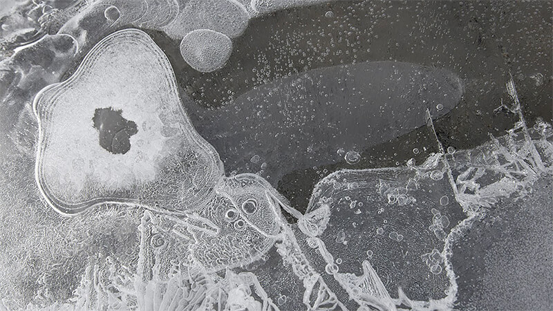 Helen Glazer: Walking in Antarctica