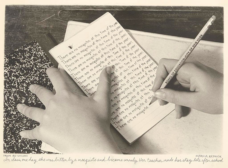 In Focus: Writing for the Camera