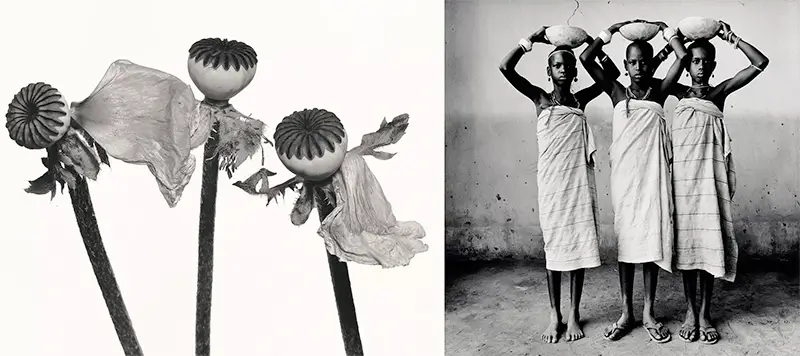 Irving Penn: Kinship