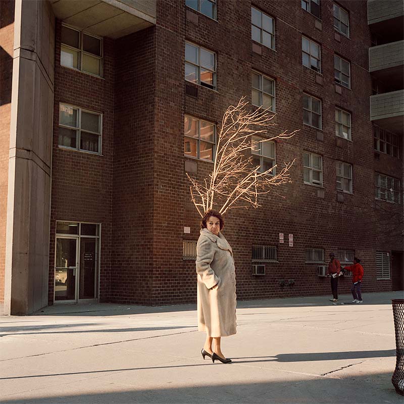 Janet Delanay: New York in the 80s