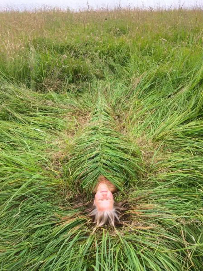 Jeanne K. Simmons: Rooted