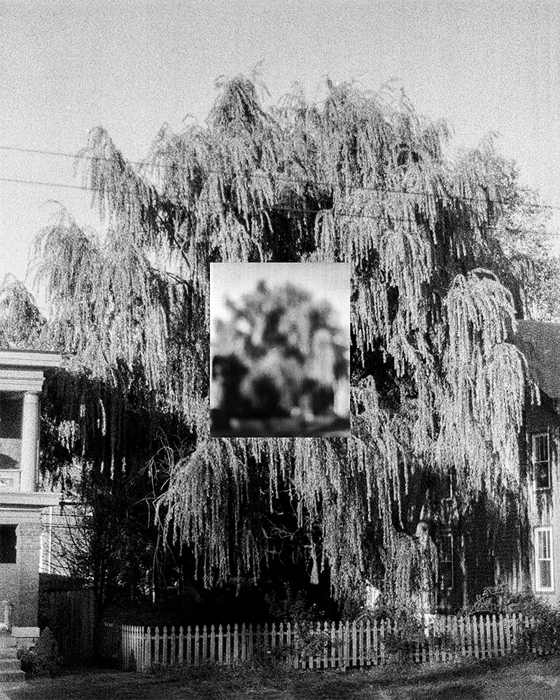 Jesse Ly: try, take time – take time, try