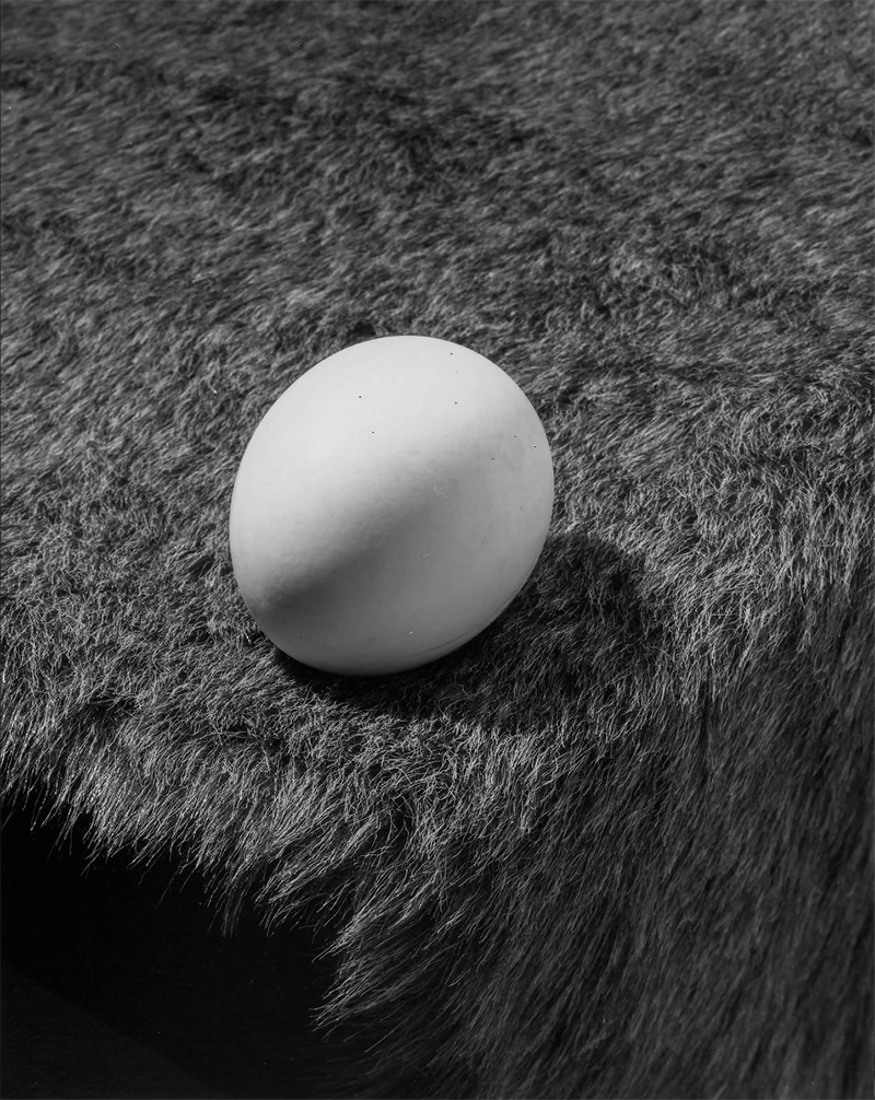 Jo Ann Callis: Dish Trick
