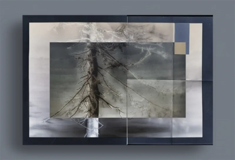 Julie Moore: With gratitude and love