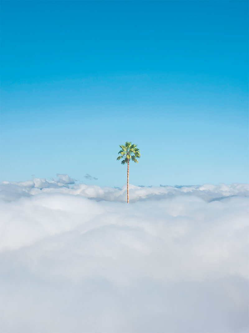 Kang Hee Kim: Dreamer