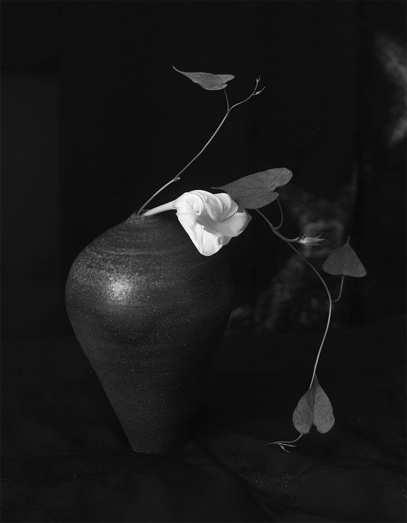 Kenro Izu:  Mono no Aware