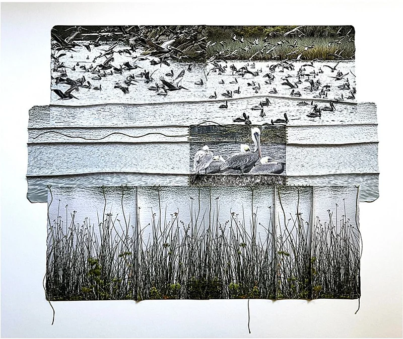 Landscape ReEnvisioned