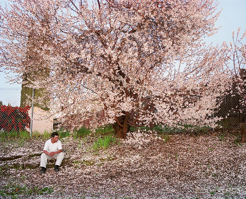 Larry Sultan: Homeland