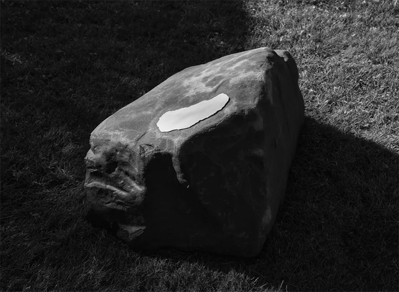 Leslie Hewitt: Soft Tremulous Light