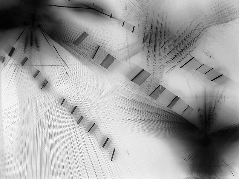 Liz Liguori: The Eye Is Not a Camera