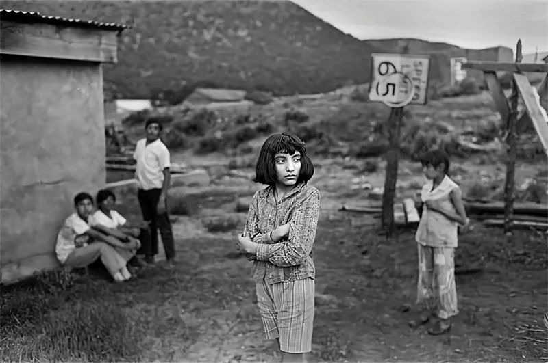 Lynn Adler: And So We Moved To Petaca