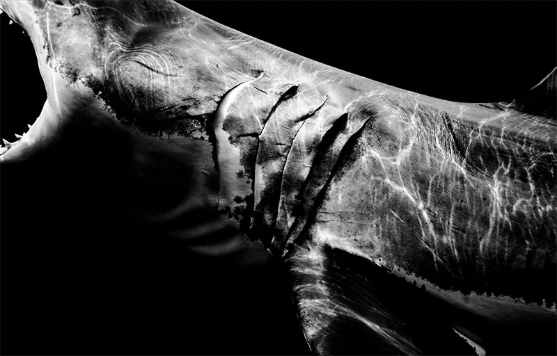 Matt Draper: Within One Breath