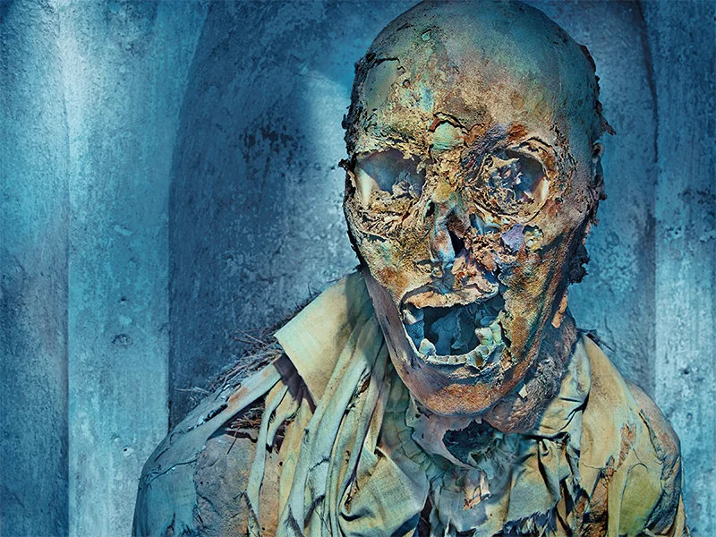 Matthew Rolston - Vanitas: The Palermo Portraits