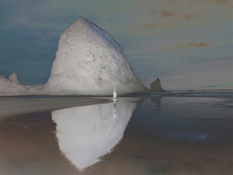 Meghann Riepenhoff & Richard Misrach: Duet