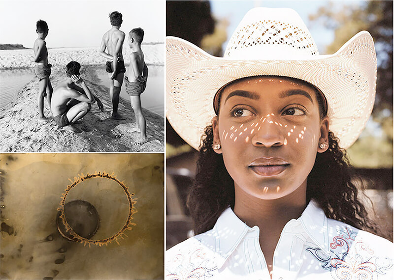 Members 2020 Juried Exhibition