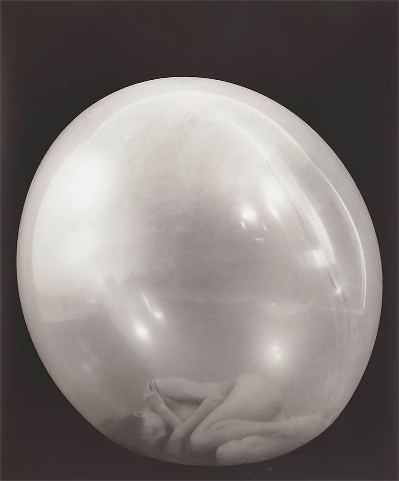 Metamorphosis by Elizabeth Heyert