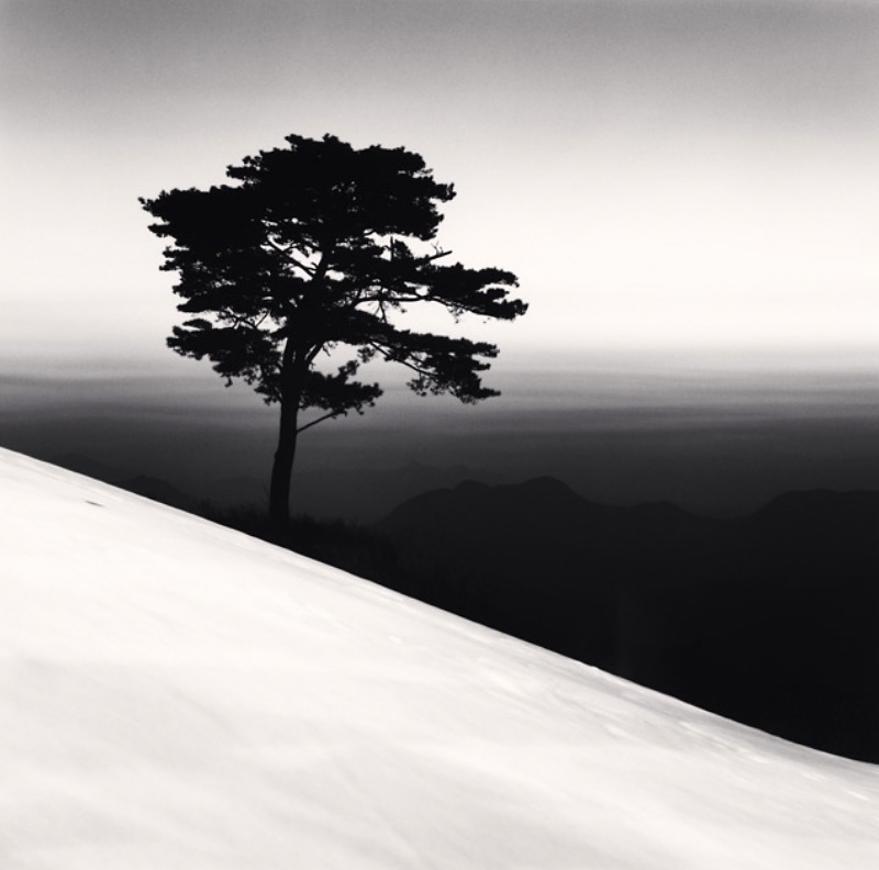 Michael Kenna: Arbres