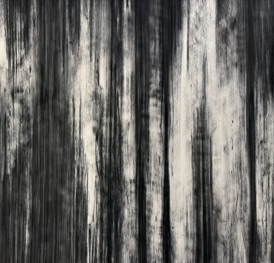 Motohiro Takeda: Something To Remember You By