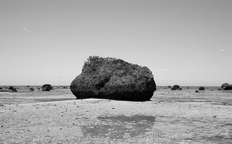 Motoyuki Shitamichi: FLOATING MONUMENTS