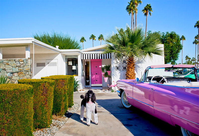 Nancy Baron: The Good Life