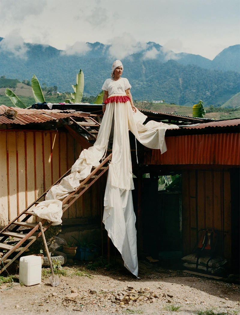 Narratives in Focus: Selections from PAMM’s Collection
