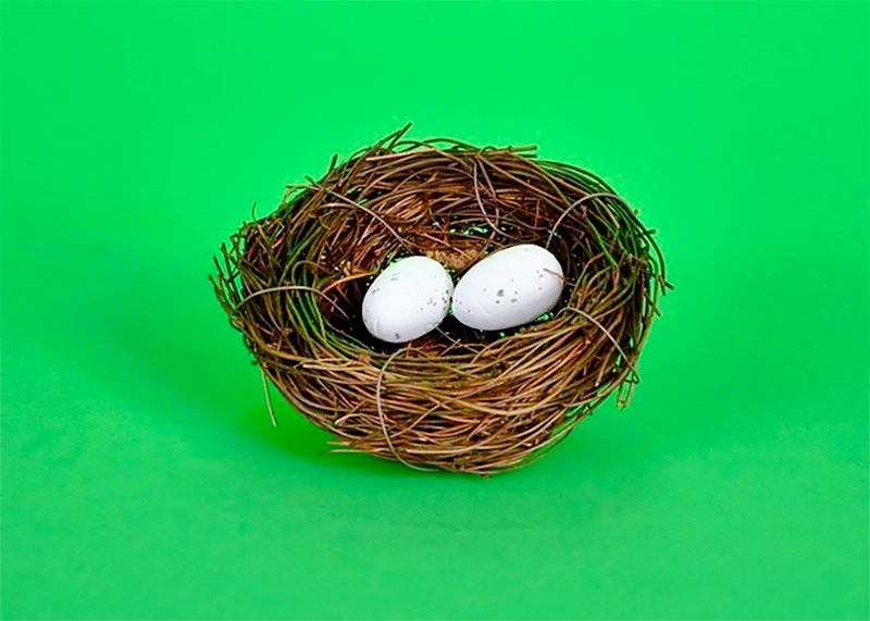 Neil Winokurs Nature