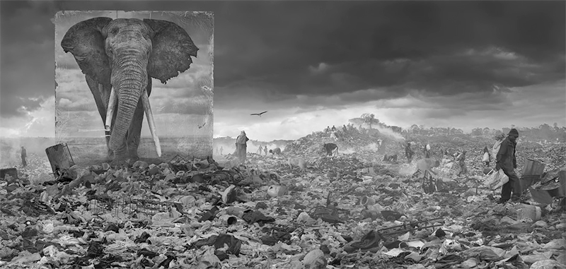 Nick Brandt: Inherit the Dust