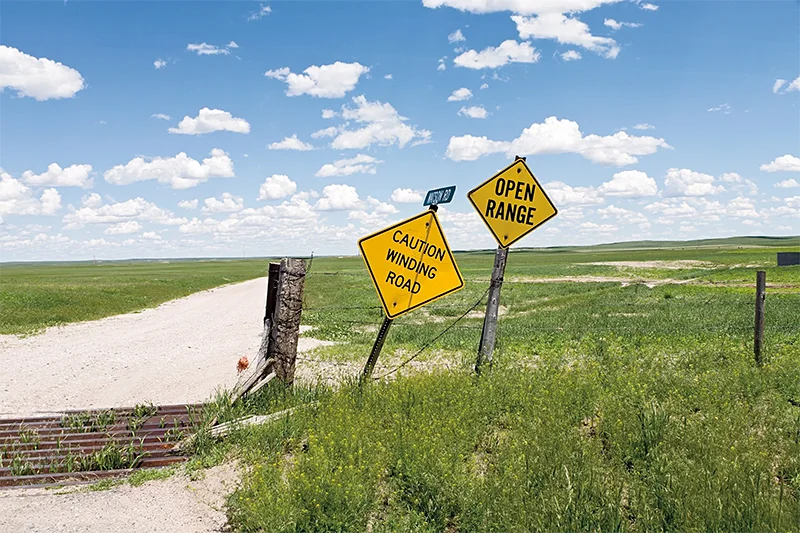 Notes from a Peripatetic Collector: Selections from the Collection of Dr. Charles Hamlin