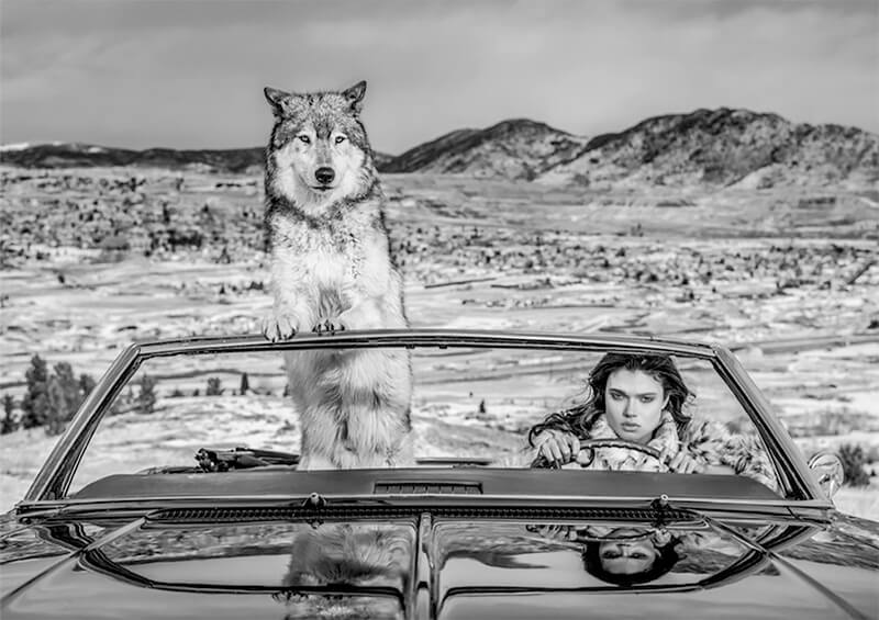 On the Prowl with David Yarrow