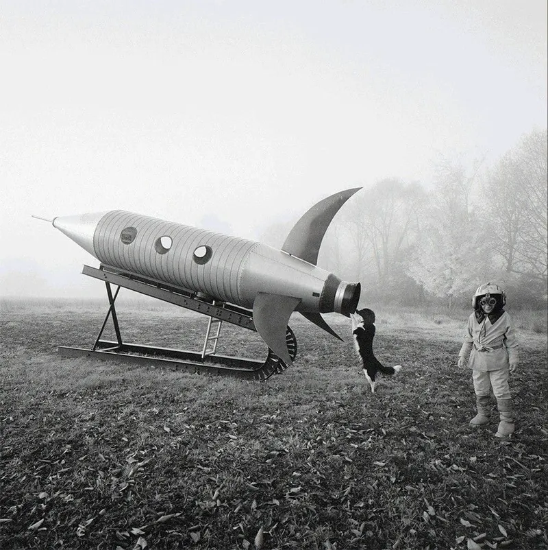 Only the Landscape Has Changed